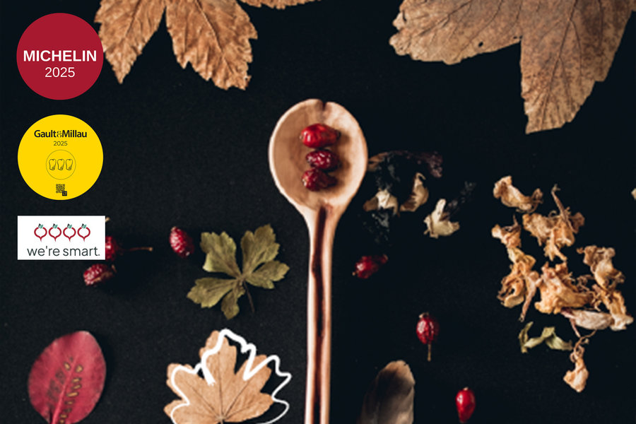 Kastanienliebe Das Titelbild der Silberstreif Herbstbroschüre dient als Header der Website.